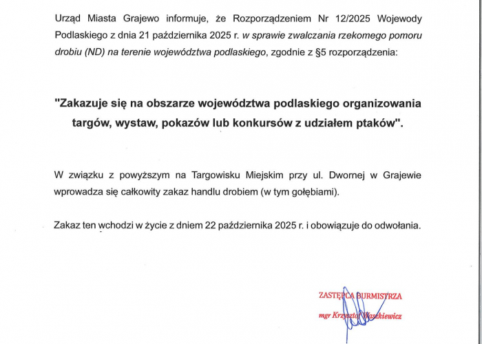 Grajewo. Rzekomy pomór drobiu (ND)