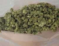 Zatrzymali 36-latka podejrzanego o posiadanie narkotyków