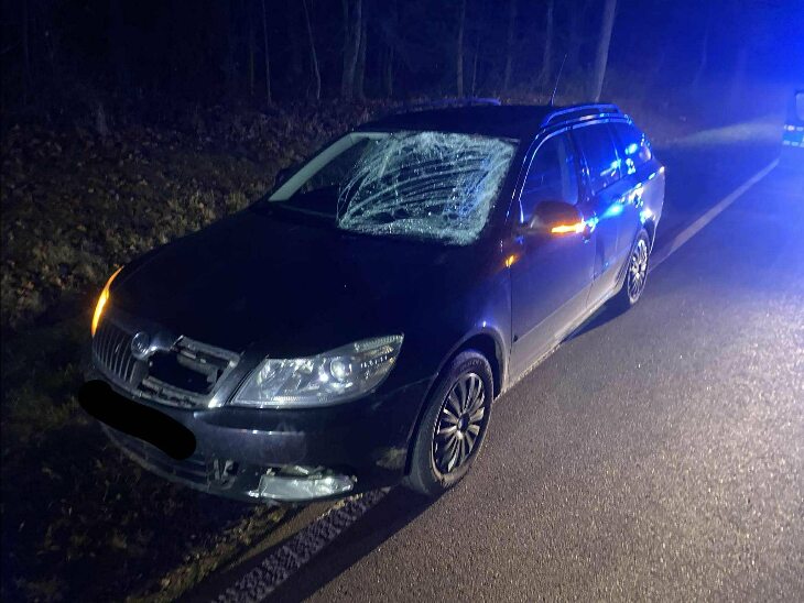 Zderzenie samochodu osobowego z łosiem