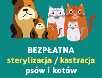 Akcja kastracji/sterylizacji psów oraz kotów