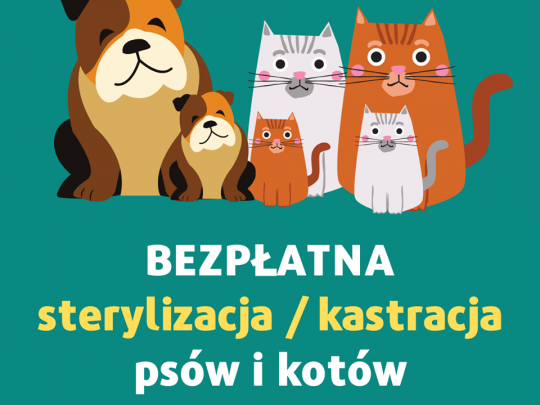 Akcja kastracji/sterylizacji psów oraz kotów