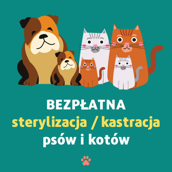 Akcja kastracji/sterylizacji psów oraz kotów