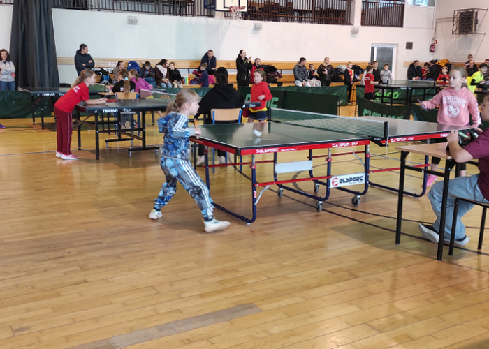 Tenisiści z sukcesami w II Grand Prix.