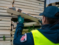 Przemyt 50 tys. paczek białoruskich papierosów