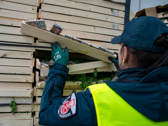 Przemyt 50 tys. paczek białoruskich papierosów