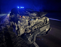 Zderzenie samochodu osobowego z łosiem