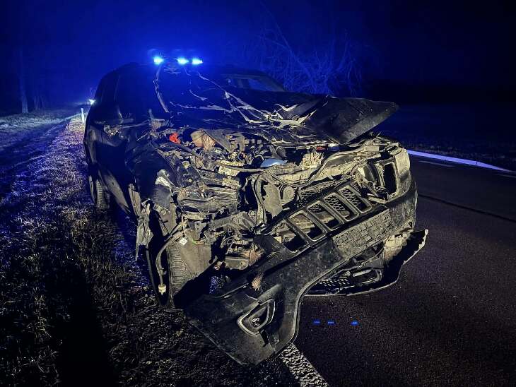 Zderzenie samochodu osobowego z łosiem