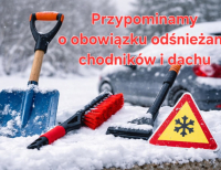 Kara za nieodśnieżony chodnik i dach