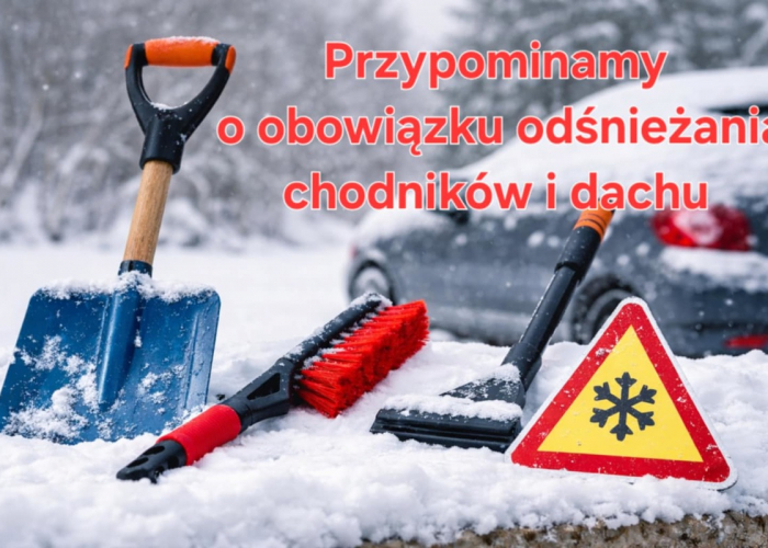 Kara za nieodśnieżony chodnik i dach