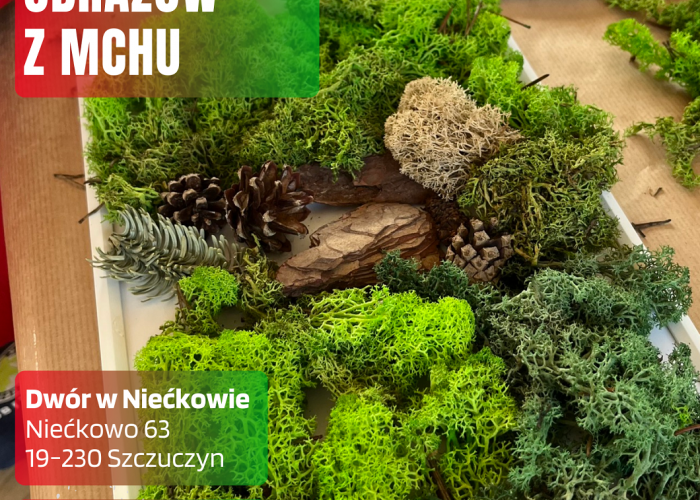 Zaproszenie na Warsztaty Tworzenia Obrazów z Mchu