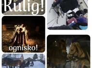 Kulig! Ferie! Ognisko!  Kapice, tel. 511 240 675