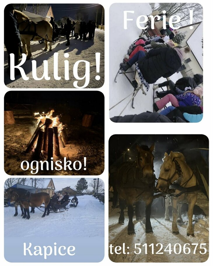 Kulig! Ferie! Ognisko!  Kapice, tel. 511 240 675