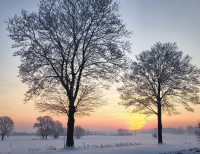 Komunikat meteorologiczny -  silny mróz!