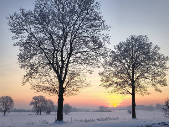 Komunikat meteorologiczny -  silny mróz!