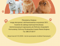   Akcja kastracji/sterylizacji psów oraz kotów