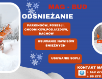 Odśnieżanie dachów,  podjazdów, posesji