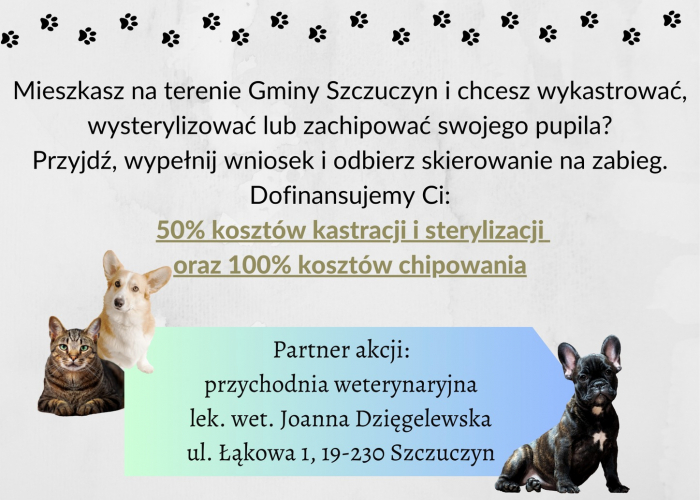Szczuczyn: Akcja sterylizacji, kastracji i chipowania psów i kotów