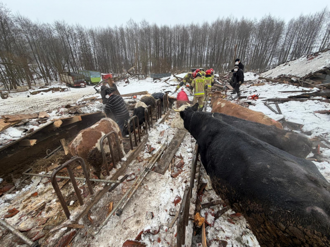 Katastrofa budowlana w powiecie ełckim