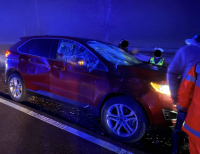 Zdarzenie z udziałem łosia na DK65