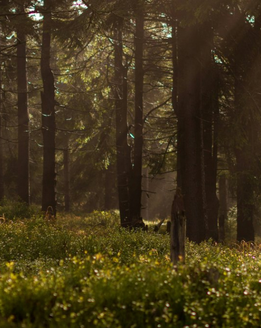 Beretta - dlaczego ta marka od lat cieszy się uznaniem wśród strzelców i myśliwych