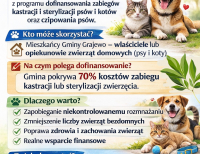 Dofinansowanie zabiegów sterylizacji/kastracji zwierząt 