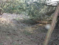 Zatrzymali 66-latka podejrzanego o kłusownictwo