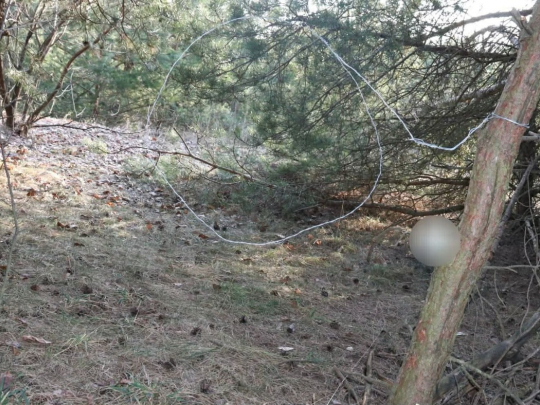 Zatrzymali 66-latka podejrzanego o kłusownictwo