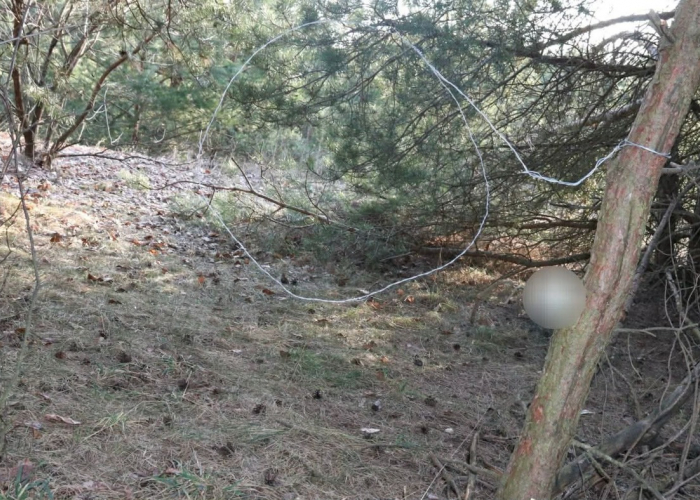 Zatrzymali 66-latka podejrzanego o kłusownictwo