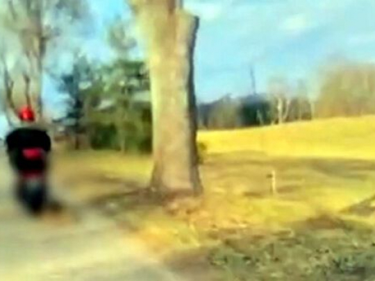 Ciągnął psa za motorowerem, zwierzę nie przeżyło