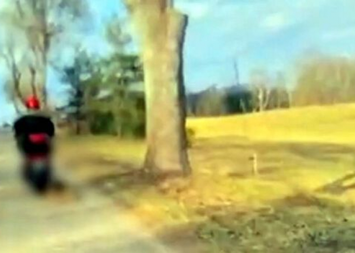 Ciągnął psa za motorowerem, zwierzę nie przeżyło