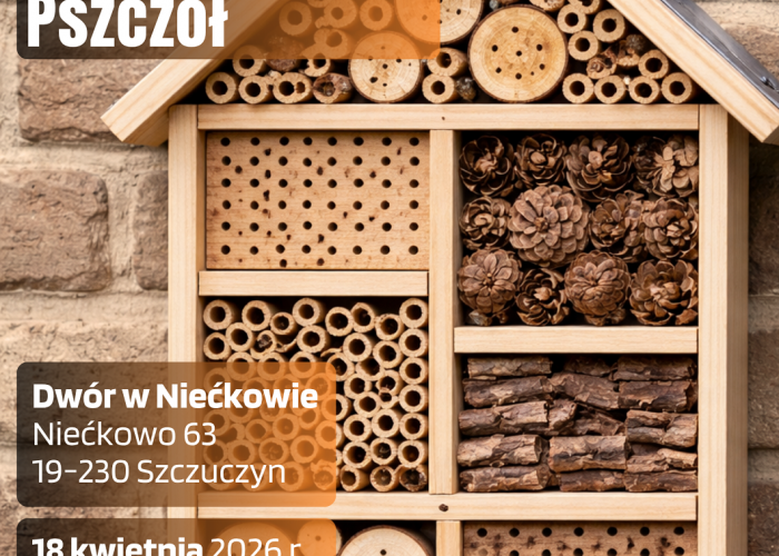 Warsztaty w Niećkowie - Domek dla pszczół