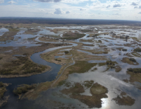 Strażacy ćwiczyli na terenie Parku Biebrzańskiego