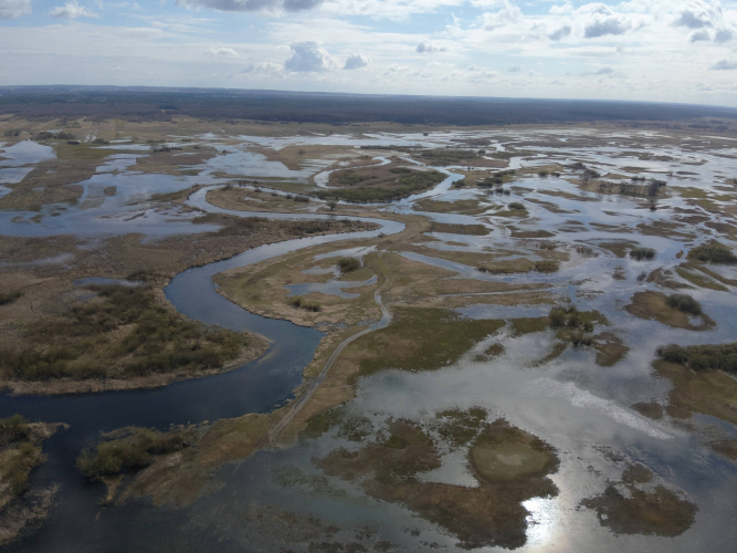 Strażacy ćwiczyli na terenie Parku Biebrzańskiego