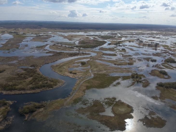 Strażacy ćwiczyli na terenie Parku Biebrzańskiego