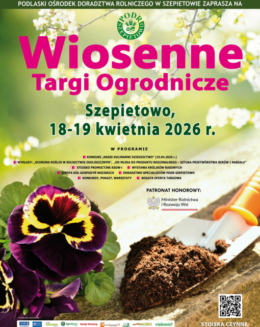  Szepietowo rozkwita na wiosnę