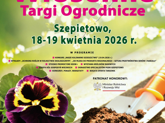  Szepietowo rozkwita na wiosnę