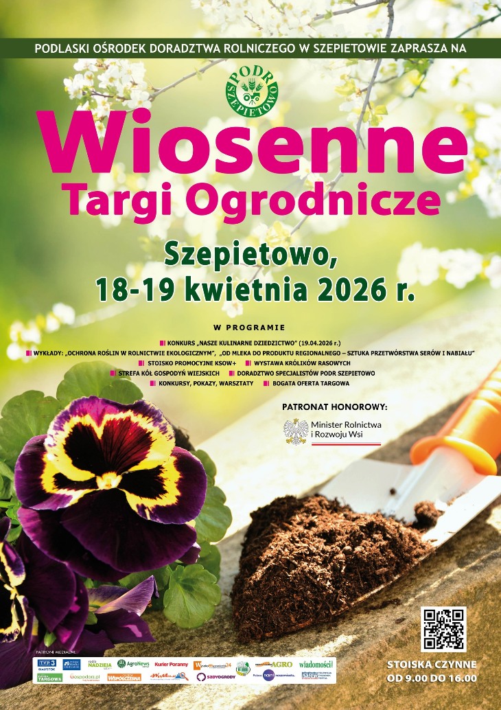  Szepietowo rozkwita na wiosnę