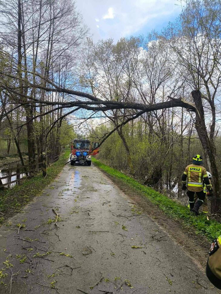 Strażacy mieli pracowitą niedzielę i noc