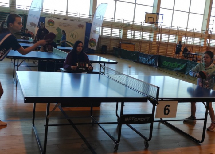 Tenis. Mistrzostwa Województwa LZS