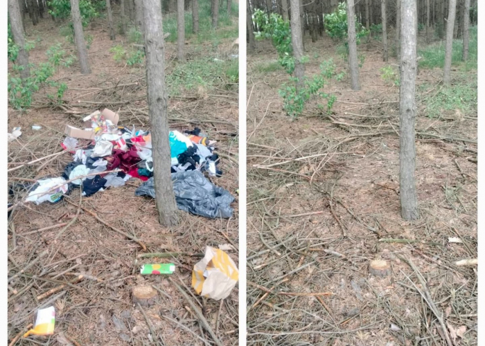 Wyrzucił śmieci do lasu - odpowie przed sądem!