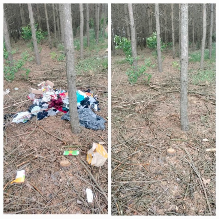 Wyrzucił śmieci do lasu - odpowie przed sądem!