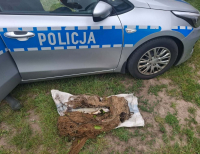 Wpadł podczas nielegalnego połowu ryb