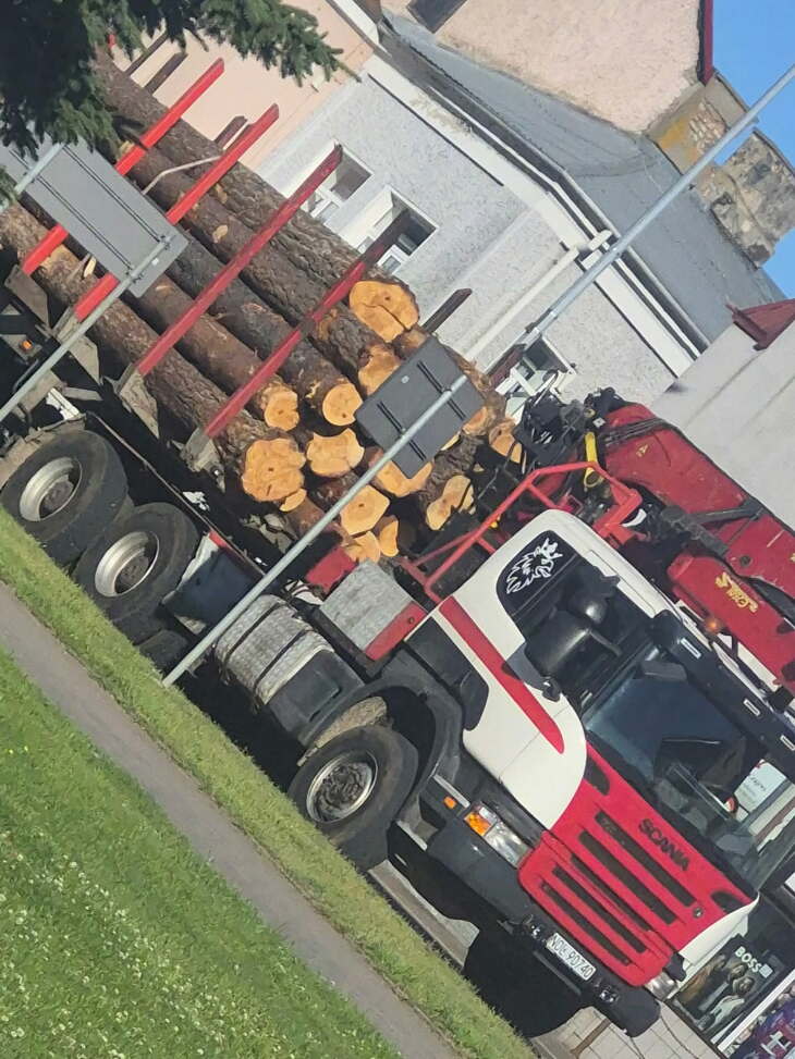 Kłoda wbiła się w szoferkę ciężarówki
