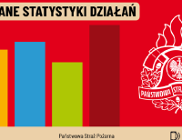 Bilans działań strażaków - sierpień 2026 r.
