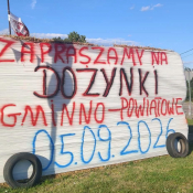 2. 
