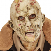 2. 