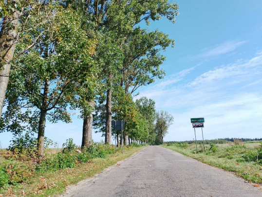 Kierowcy czekają na remont drogi do Wojewodzina. Mamy oficjalne ustalenia!