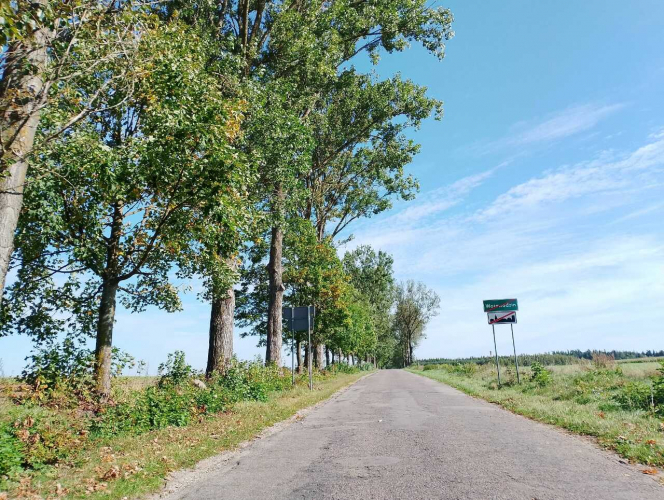 Kierowcy czekają na remont drogi do Wojewodzina. Mamy oficjalne ustalenia!