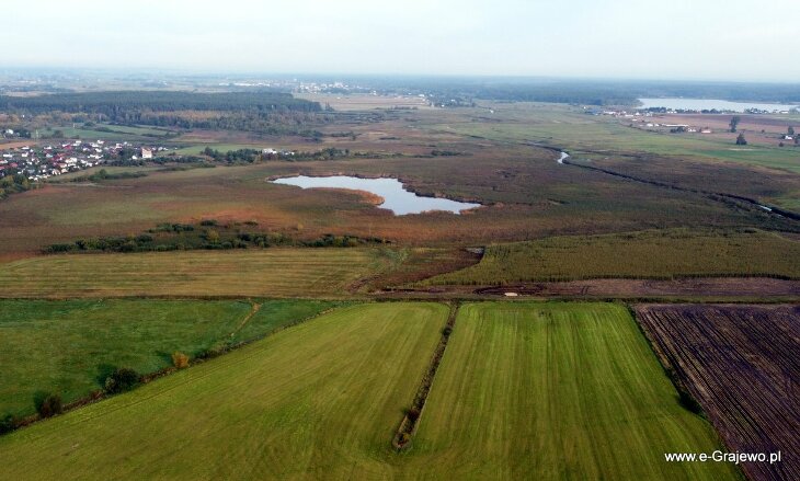 Brajmura i rzeka Ełk. Zagospodarować czy zostawić naturze? 