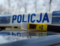 Radzilów. Nietrzeźwa kierująca zakończyła jazdę na słupie